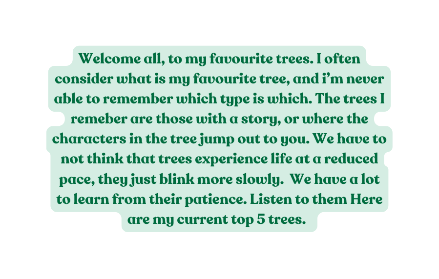 Welcome all to my favourite trees I often consider what is my favourite tree and i m never able to remember which type is which The trees I remeber are those with a story or where the characters in the tree jump out to you We have to not think that trees experience life at a reduced pace they just blink more slowly We have a lot to learn from their patience Listen to them Here are my current top 5 trees