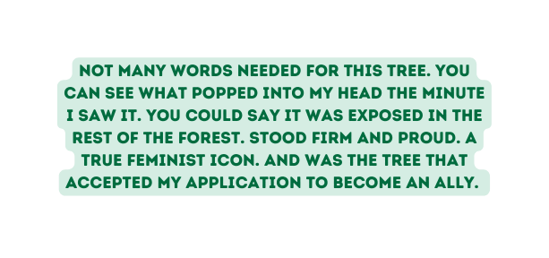 NOT MANY WORDS NEEDED FOR THIS TREE YOU CAN SEE WHAT POPPED INTO MY HEAD THE MINUTE I SAW IT YOU COULD SAY IT WAS EXPOSED IN THE REST OF THE FOREST STOOD FIRM AND PROUD A TRUE FEMINIST ICON AND WAS THE TREE THAT ACCEPTED MY APPLICATION TO BECOME AN ALLY